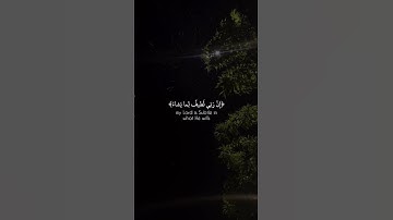 إن ربي لطيف لما يشاء | القارئ محمد هشام.  راحه وطمأنينه لقلبك.  تلاوه جميله جدا