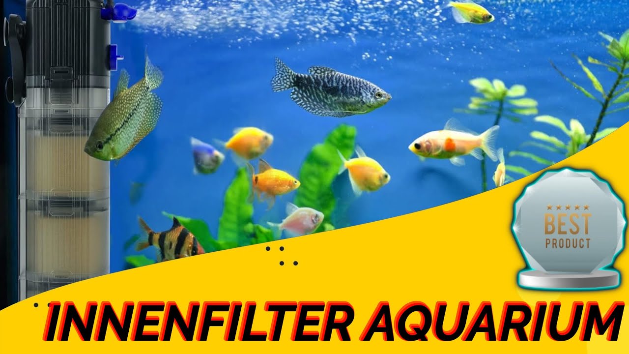 Innenfilter für Aquarium Test 🏆 Die besten der besten 🏆 Jetzt