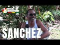Reggae Interviews: Sanchez in 2020