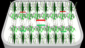 MODDED - Unlimited Coin - Merge Ant Insect Fusion FIghting Games -  Gameplay (47)