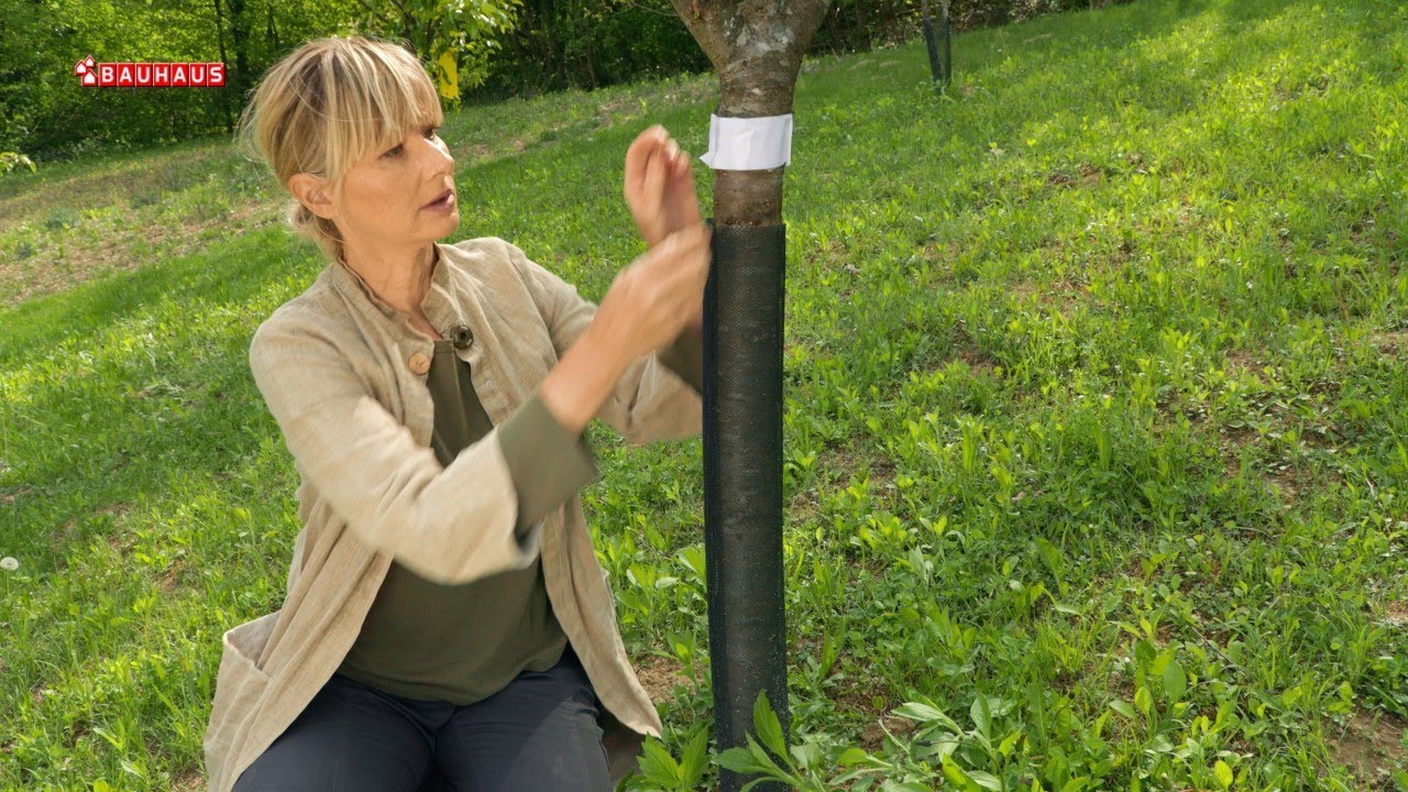 Škola vrtlarstva - zaštita u eko voćnjaku