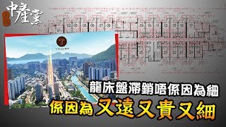 【3個中產黨】龍床盤滯銷唔係因為細 係因為又遠又貴又細