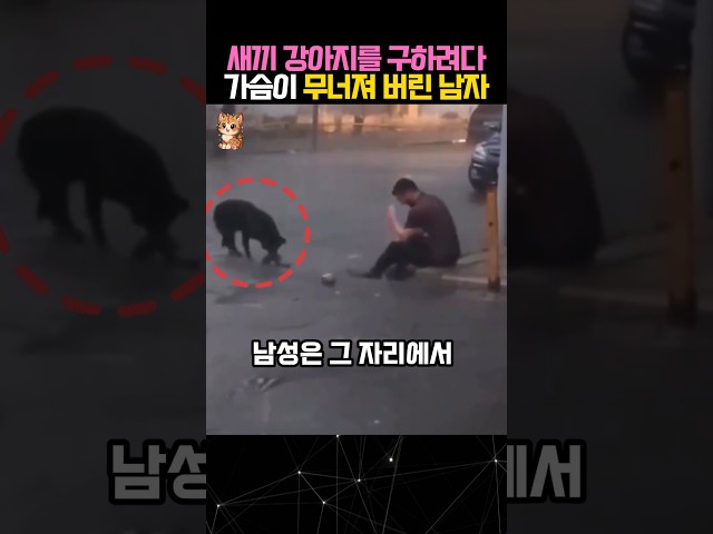 이 남성은 새끼 강아지를 구하려다 가슴이 무너졌습니다 #동물구조 #강아지 #dogs
