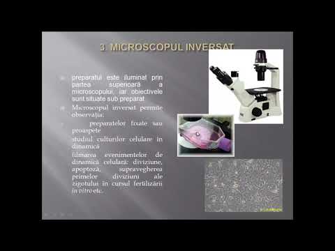 L P 2 Tipuri de microscoape
