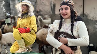 Daily life in the village and Iranianstyle breakfast with organic dairy products!