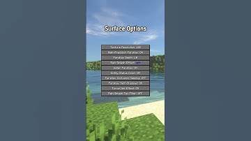 Best Settings For Seus Renewed Shaders!