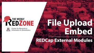 REDZone - File Upload Embed