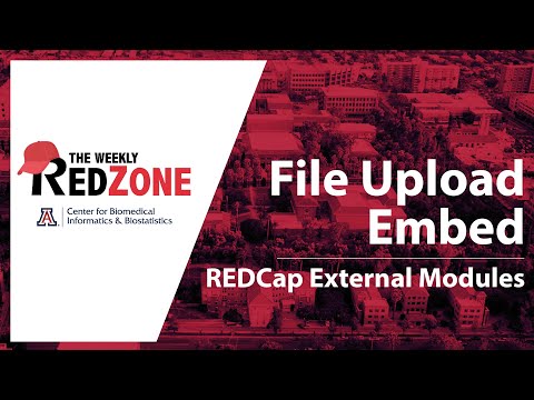 File Upload Embed