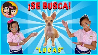 AUXILIO! LUQUITAS SE PERDIO | Las Leoncitas Kids by LAS LEONCITAS KIDS 30,388,704 views 2 years ago 9 minutes, 48 seconds