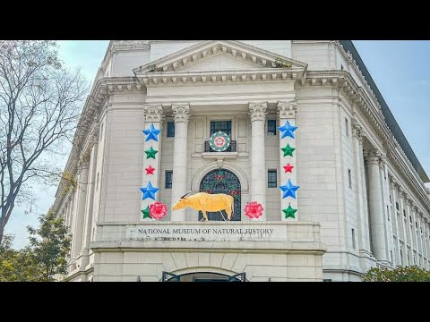 WALK TOUR II NATIONAL MUSEUM OF NATURAL HISTORY