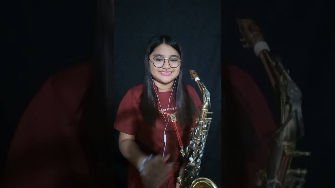 When I'm Gone || Albert Hammond (alto saxophone cover)