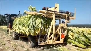 神奇的玉米收穫機 真棒現代玉米收穫機設備編譯