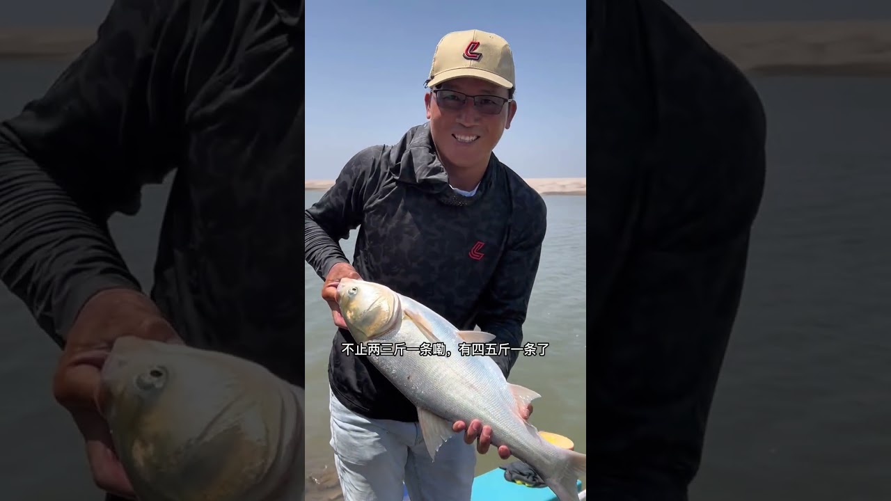 江鲢攻略！#dou是钓鱼人 #钓鱼   #野钓  #中秋节去钓鱼有多快乐