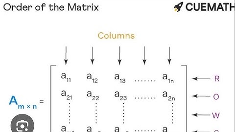 order of matrix class 9th maths exercise #1.1 q#02 lecture #02 order of matrices