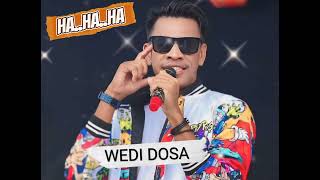 Download Lagu WEDI DOSA - ALI GANGGA #VIRAL 2025 MP3