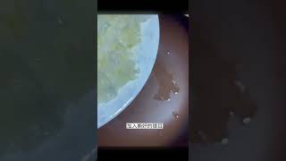 银耳雪梨羹|养颜润肺