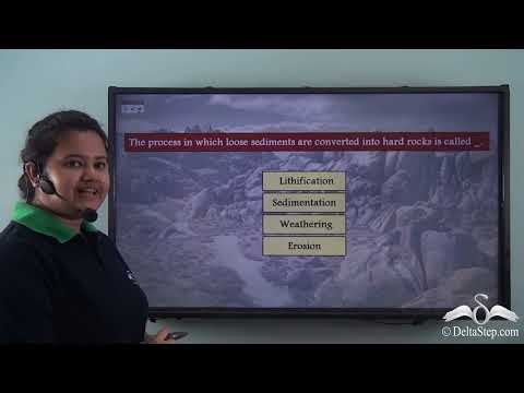 Formation of Sedimentary Rocks