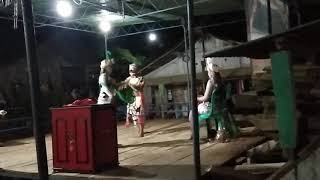 Jangkrik genggong