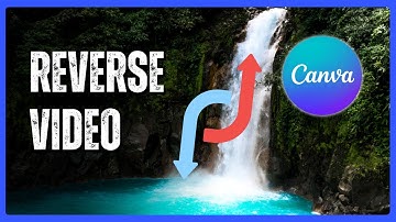 How to Reverse a Video in Canva