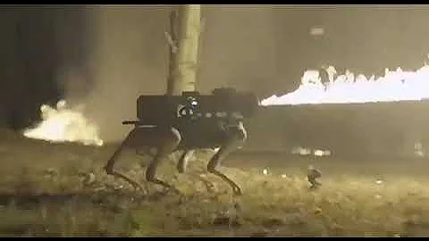 Throwflame Thermonator is the first-ever flamethrower-wielding robot dog.
