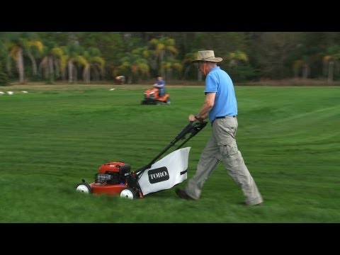 Keep your lawn looking its best | Consumer Reports