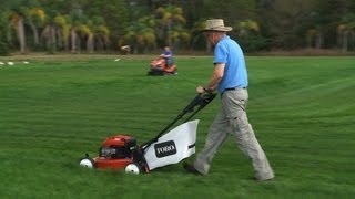 Keep your lawn looking its best | Consumer Reports