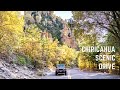 Complete guide for the scenic drive in chiricahua national monument  arizona