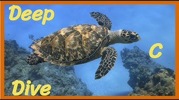 Implementing ispunct - Deep C Dive - s0e6