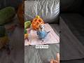 Parrot Forgot to Fall 😂🦜 #trending #funny #shorts #youtubeshorts #foryou #comedy #watchtillend