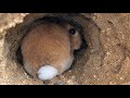 ちゃんと後ろを確認したはずなのに…