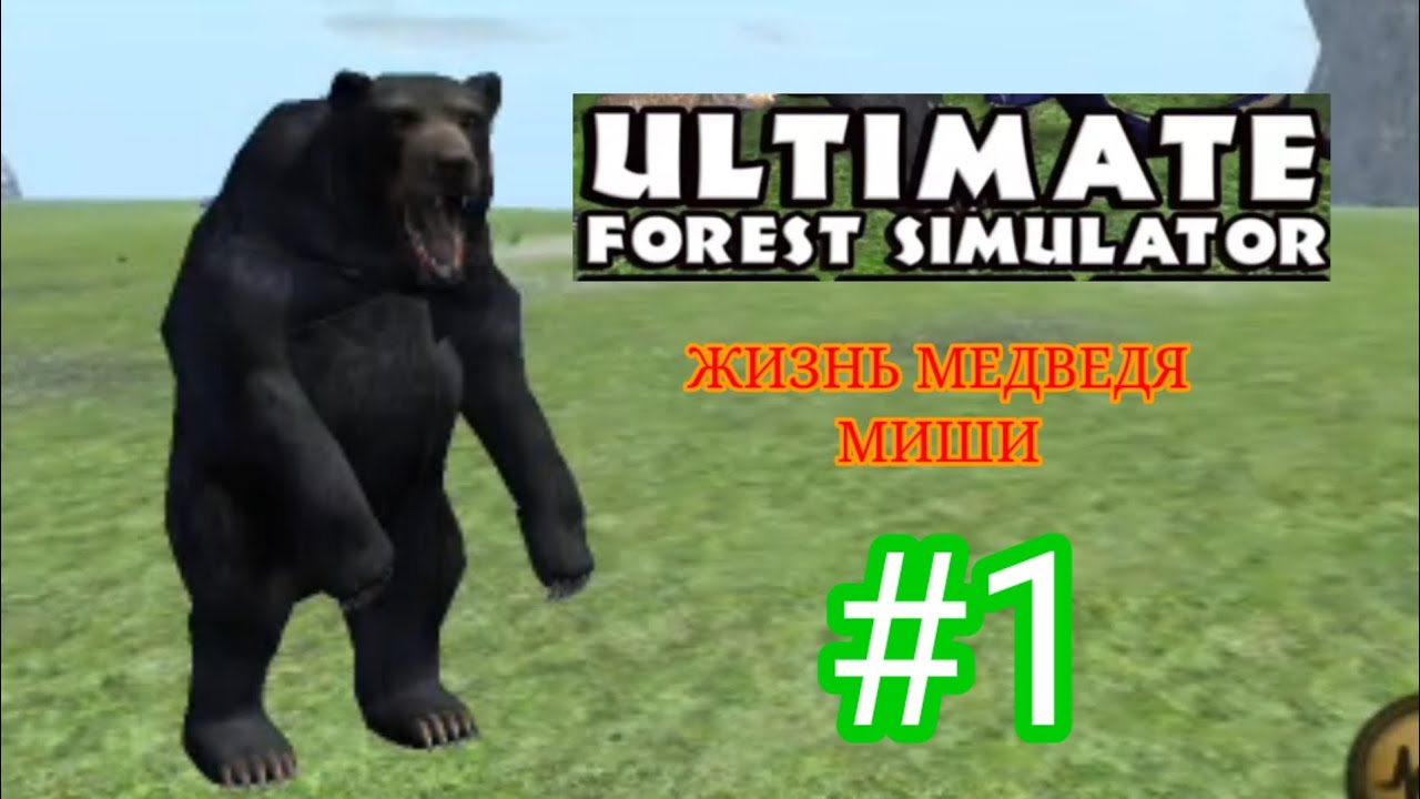 Ultimate Forest Simulator Жизнь медведя Миши Эпизод 1 - YouTube