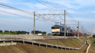 【原色重連】EF64 1050＋EF64 1048牽引2085列車
