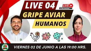 Gripe Aviar en humanos, Live 04