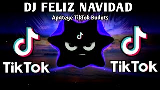 DJ FELIZ NAVIDAD X BIGYAN MOKO NG BEAT X APATEYE MUSHUP (TIKTOK VIRAL BUDOTS) 2025 REMIX