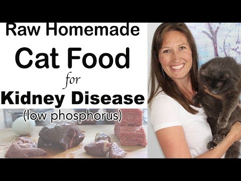 homemade-cat-food-for-kidney-disease-diet-(raw,-easy,-inexpensive)