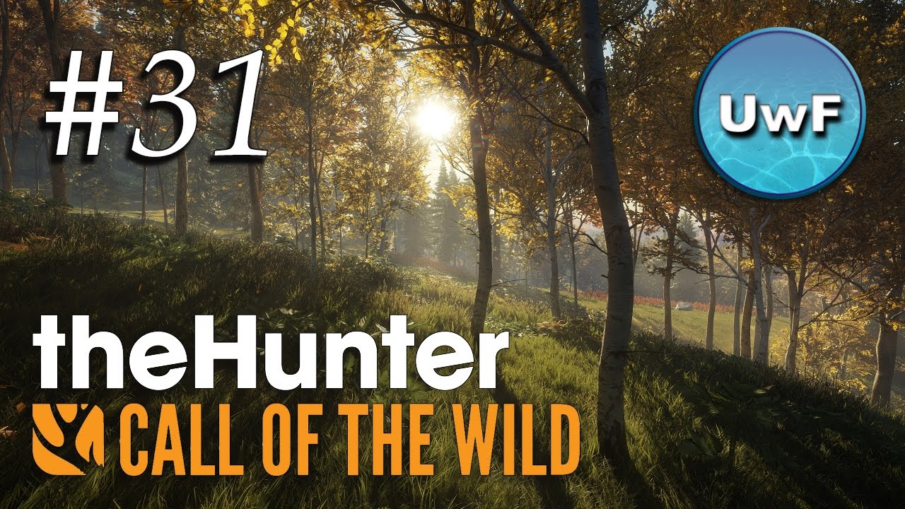 The Hunter Call of the Wild 31 Jagddruck im Müllerwald und Ritterstein erzeugen