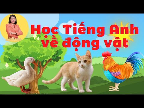 Video Học các con vật qua hình ảnh và tiếng kêu|Ms Anh Thơ... - YouTube