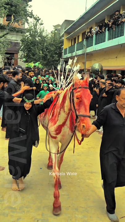 Muharram Zuljanah Baramad | Matam | tajiya #karbala #shorts