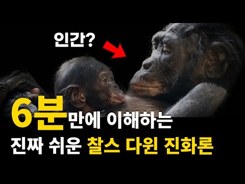 초등학생도 이해하는 다윈 진화론 총 정리