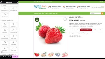 Cách tạo trang Chi Tiết SẢN PHẨM, Custom theo ý mình bằng Plugin Elementor Free, WordPress (No Pro)