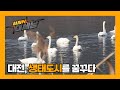 대전, 생태도시를 꿈꾸다 [이럴수 이슈] / KBS대전 20240227 방송