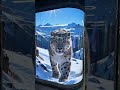 Don't look for the screen, it's blended into the scenery. #Stage LED screen #Advertising display
