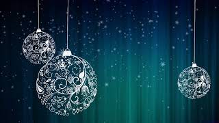 Century 21 Action Realtors: Holiday Greetings (2016)