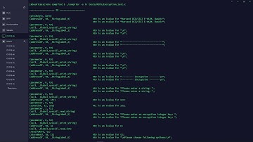 Milos Baskic E95 Compiler Demo