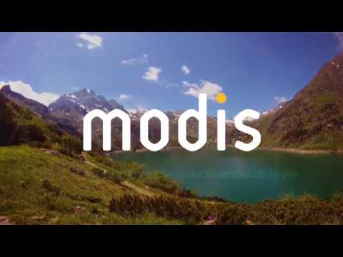 La technologie au service de l’environnement  YouTube
