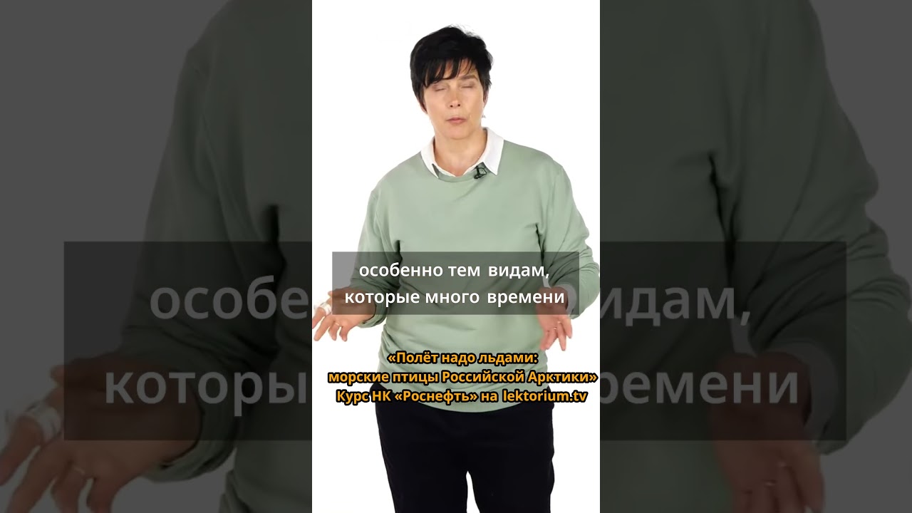 Почему арктические птицы имеют плотное оперение?  #роснефть #арктическиептицы #оперение #пух