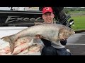 Fishing for Asian carp - How to catch bighead carp. Cooking silver carp.