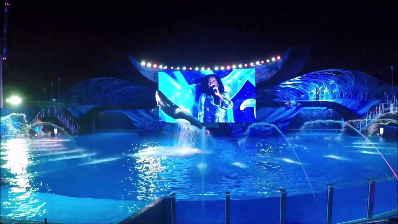 Shamu christmas miracles 2025