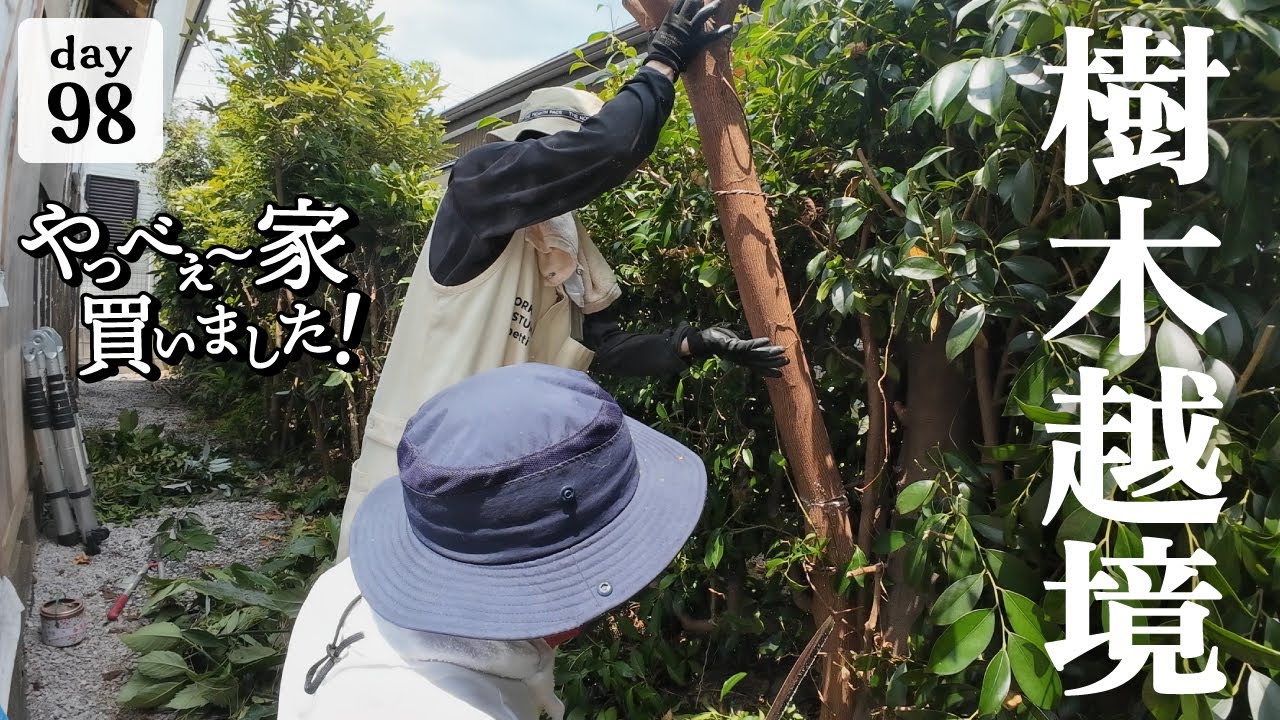 Work Day 98] Using DIY tools, I cut down the plants in the garden