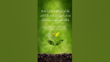 سورة الفلق للشيخ فارس عباد